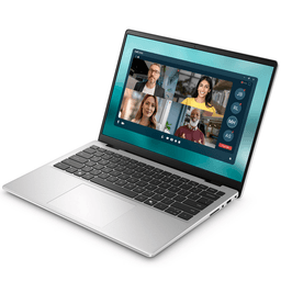 Dell DC14250 DC4C5386W Intel 16GB 512GB