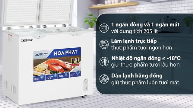 Hoà Phát 205 Lít HPF BD6205 205 lít
