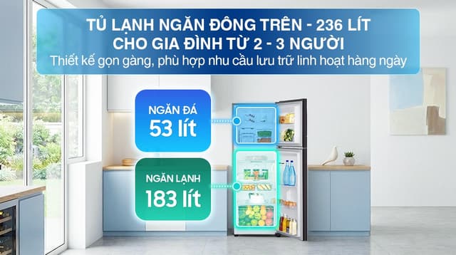 Samsung Inverter 236 lít RT22M4032BU 236 lít