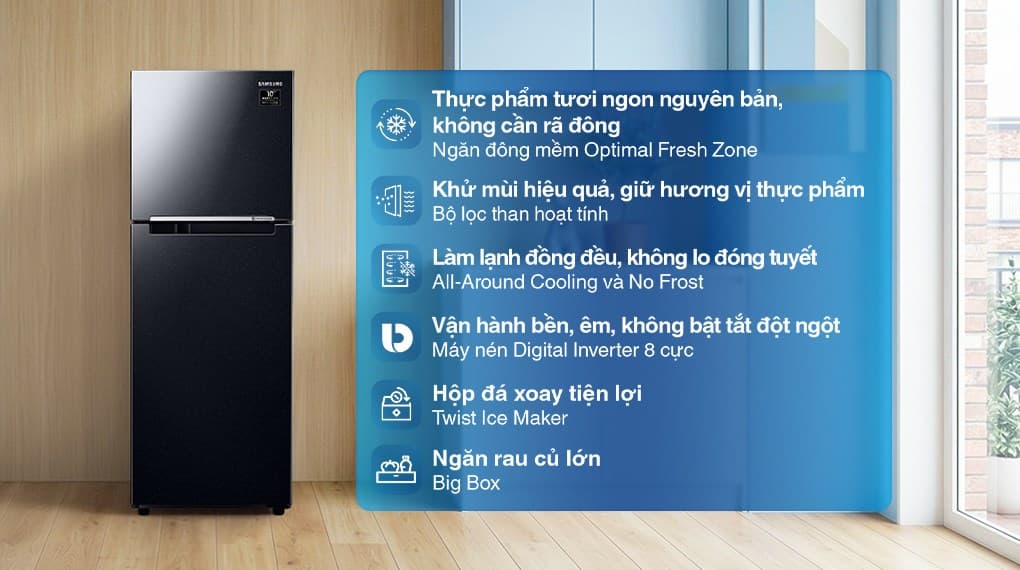 Tủ lạnh Samsung Inverter 236 lít RT22M4032BY/SV
