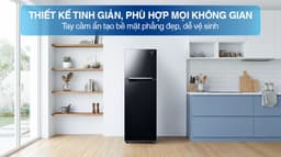 Samsung Inverter 256 lít RT25M4032BU/SV 256 lít