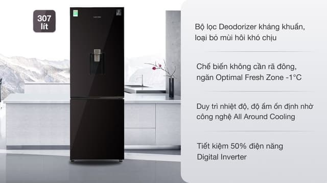 Samsung Inverter 307 lít RB30N4190BY 307 lít