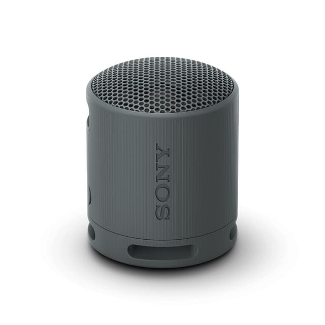 Sony Loa Bluetooth Sony SRS-XB100 Extra Bass