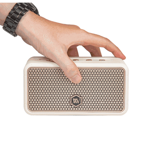 Loa Bluetooth Alpha Works W38 - Hàng