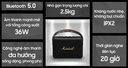 Loa Marshall Kilburn II black and Brass