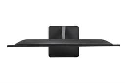 SingPC Q25F100 24.5"