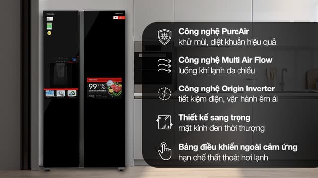 Toshiba GR-RS755WIA-PGV(22)-XK 450 lít
