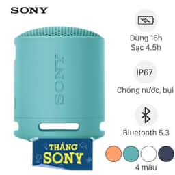 Loa Bluetooth Sony SRS-XB100