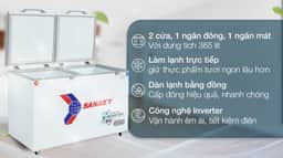 Sanaky Inverter 365 Lít VH-5699W3 365 lít