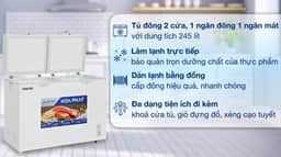 Hoà Phát 245 Lít HPF BD6245 245 lít
