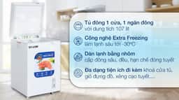 Hòa Phát 107 lít HPF AN6107 107 lít