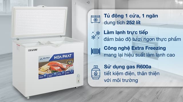 Hoà Phát 252 lít HPF AN6252 252 lít