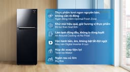 Samsung Inverter 236 lít RT22M4032BY/SV 236 lít