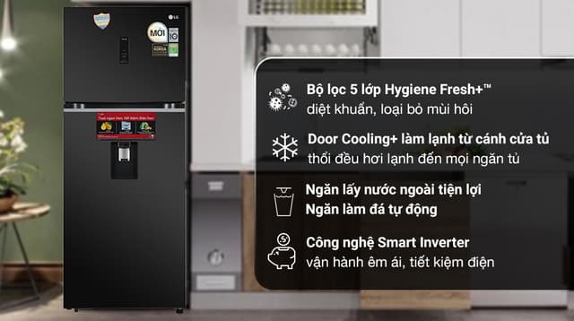 LG Inverter 394 lít GN-D392BLA 394 lít