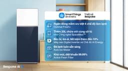 Samsung Inverter 460 lít Bespoke RT47CB66868ASV 460 lít