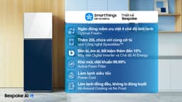 Samsung Inverter 305 lít Bespoke RT31CB56248ASV 305 lít