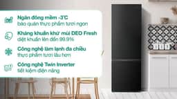 Aqua Inverter 260 lít AQR-B310MA (FB) 260 lít