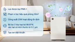 Máy lọc không khí Sharp FP-S40V-W 23W