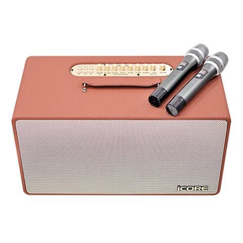 Loa Karaoke iCore S8 kèm 02 micro