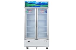 Sanaky Inverter 900 lít VH-1009HP3 900 lít