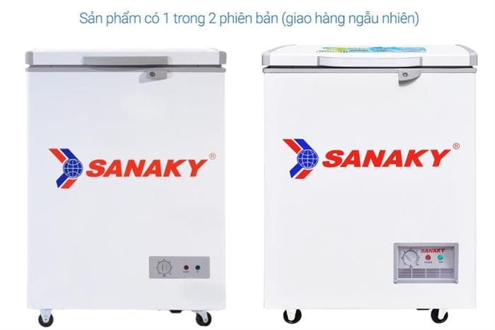 Tủ đông Sanaky 100 lít VH162HY2