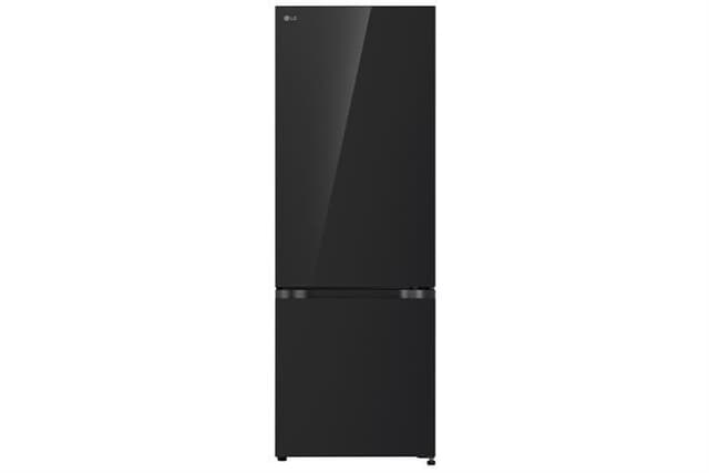 LG Inverter 335 lít LBB33BLGA 335 lít