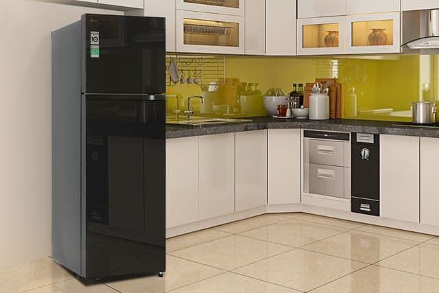 LG Inverter 266 lít T26BG 266 lít
