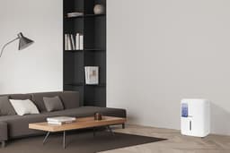 Máy hút ẩm Kangaroo KGDH30G