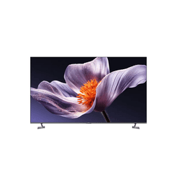 Xiaomi L MB-SSEA 55"