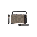 Loa Di Động Retro Alpha Works W99 (kèm 2 Micro)
